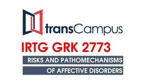 Logo IRTG 2773