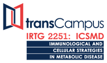 International Research Training Group 2251