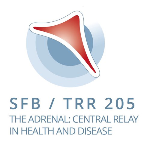SFBTRR205 Wortlogo.jpg