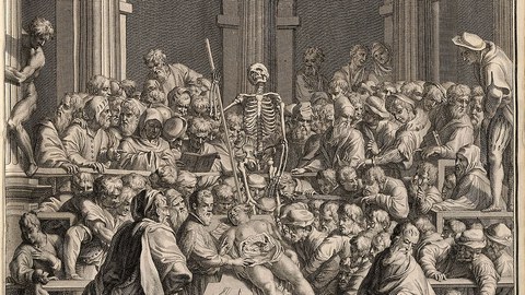 Sektion bei Vesalius Abbildung