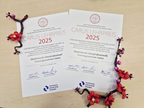 2 Urkunden Carus Lehrpreis 2025