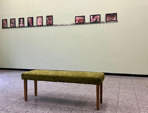 Das Bild zeigt einen Ausstellungsraum mit einer Bank in der Mitte und klinischen Bildern an der Wand