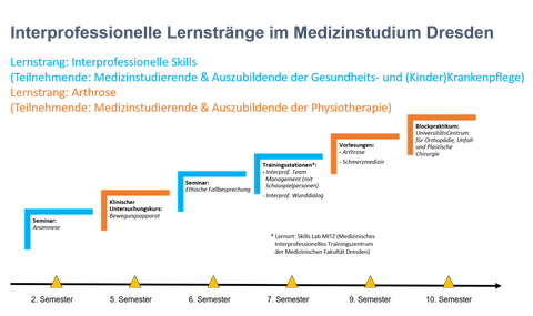 Darstellung der Interprofessionellen Lernstränge aufgeteilt nach Semester