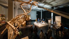 Medizinische Fakultät Dresden - You ask we explain - TU Dresden - März