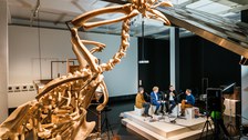 Medizinische Fakultät Dresden - You ask we explain - TU Dresden - März