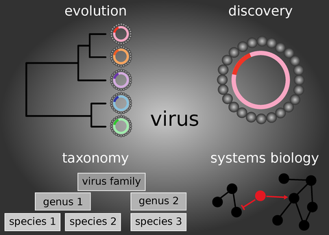 Computergestützte Virologie