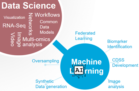 Übersicht Data Science und Machine Learning