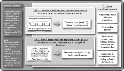 HaematoOPT Subprojects