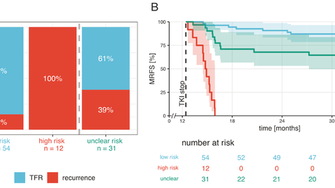 Modell-basierte Analyse des individuelles Verlaufsmonitorings der BCR::ABL1