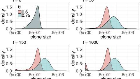Clones with larger rescource utilisation efficiency theta expand with higher probability