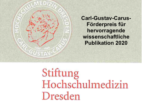 Logo Stiftung Hochschulmedizin Dresden