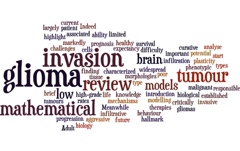 Wordcloud Glioma