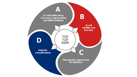 Overview of the four research areas