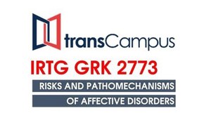 Logo IRTG 2773