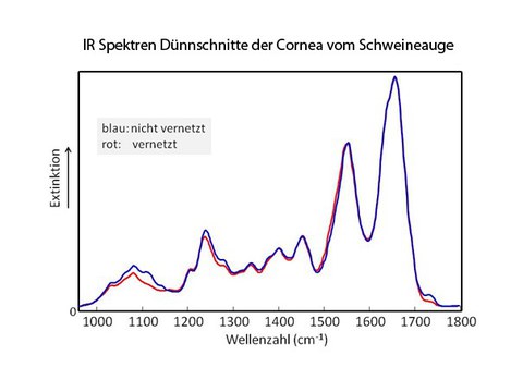 IR Spektren Hornhaut