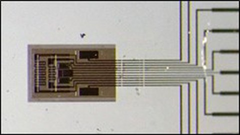 Das Bild zeigt den Prototypen eines miniturisierten Sensors.
