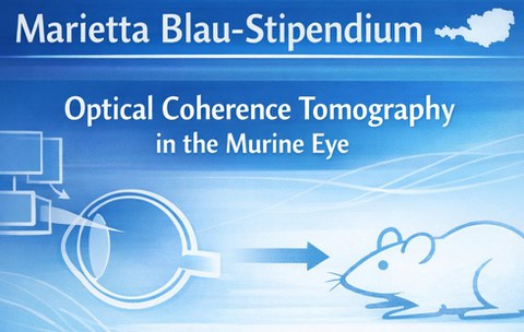 Das Bild zeigt den Schriftzug Marietta Blau-Stipendium.