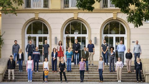 MSNZ Fellows and Teams 2020