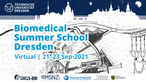 Biomedical Summer School Dresden
