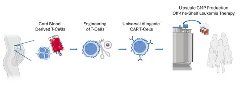 Illustration Arndt & Feldmann & Fuchs