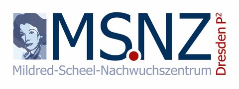 Logo MSNZ