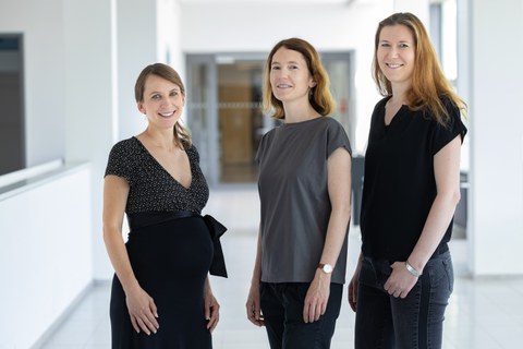 Gruppenfoto Dr. Arndt, Dr. Fuchs & Dr. Feldmann