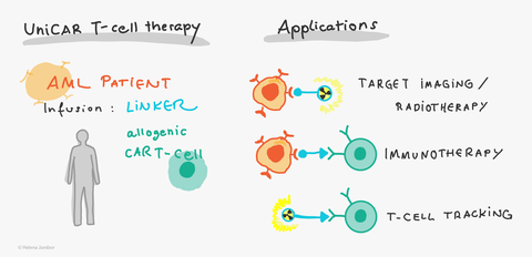 UniCar T-Cell Therapy
