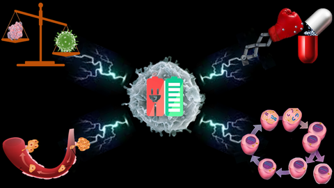 Science_Elgendy