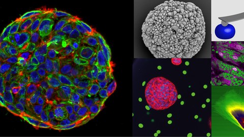 Science_Taubenberger