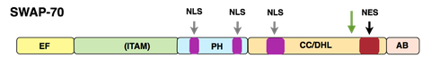 S70structure