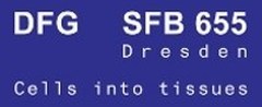 Logo SFB655