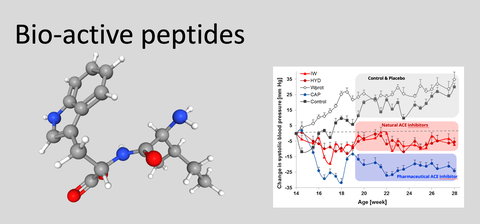 Peptides projects