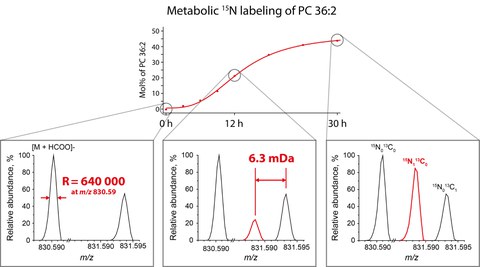 TOC Figure