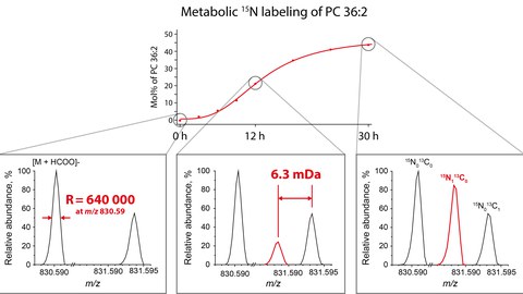 TOC Figure