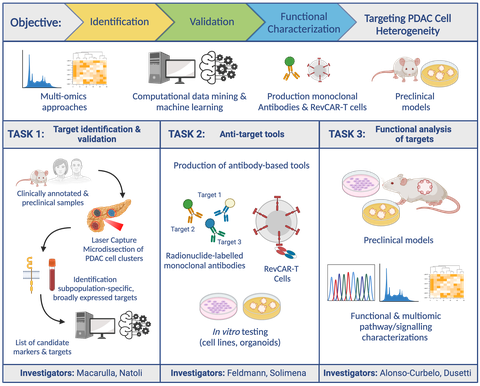 Graphical abstract of the project