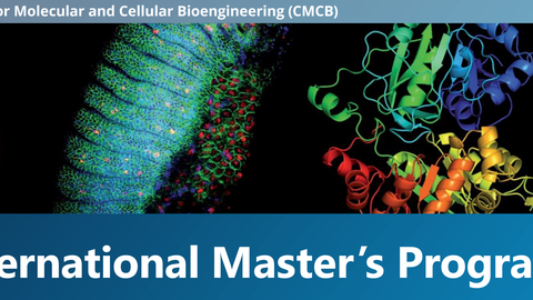 Titelbild des CMCB Master Programms