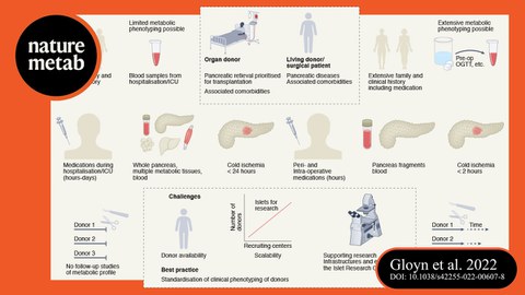 Graphical Abstract zur Publikation