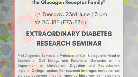 External Diabetes Research Seminar Alejandra Tomas-Catala