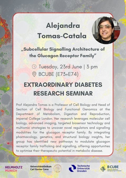 External Diabetes Research Seminar Alejandra Tomas-Catala