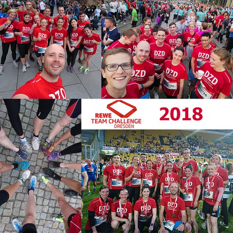 Bilder der Teilnehmer der REWE Team Challenge 2018