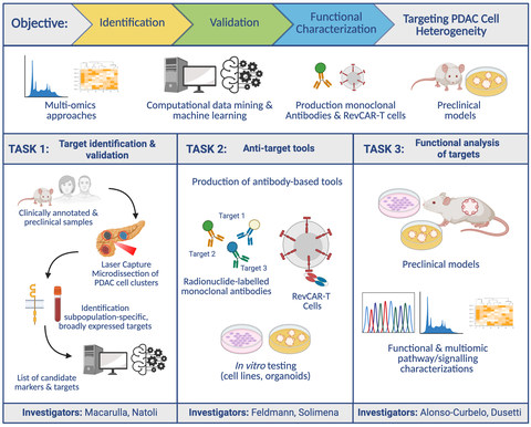 Graphical Abstract COMBAT-PDAC Project