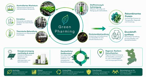 Kreislaufschema GreenPharming
