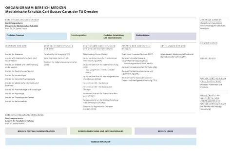 Organigramm 2026