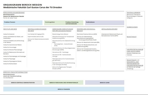 Organigramm 2024-06-01