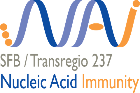 Logo des TRR 237