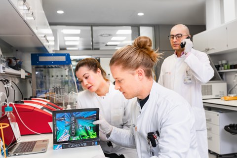 ACS male Lab 2