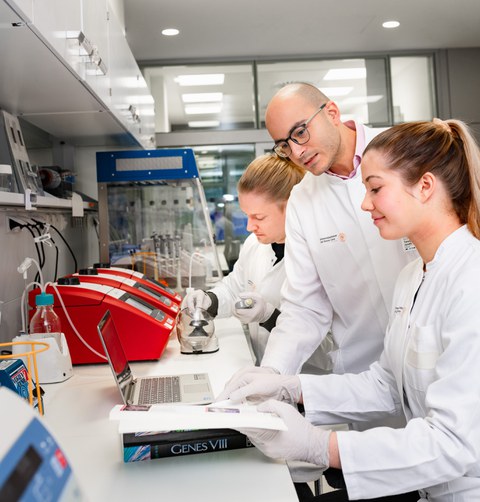 ACS male Lab