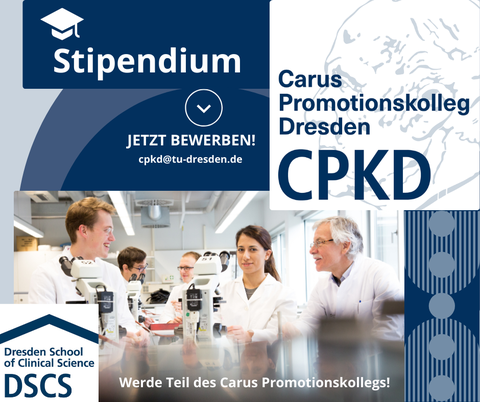 Bild CPKD Stipendium 2024.png