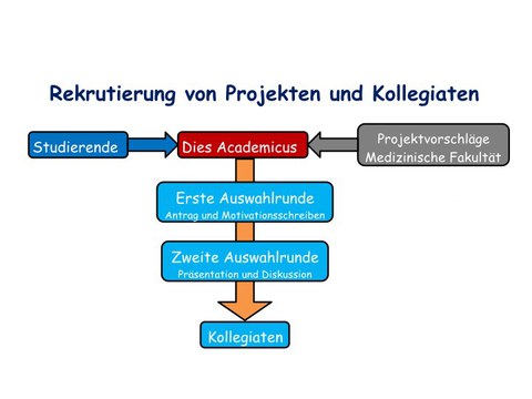 Bewerberauswahl