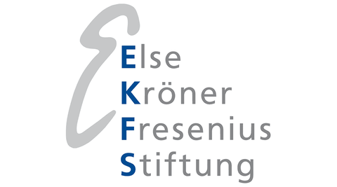 Else Kröner Fresenius Stiftung